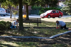 Uczestnicy wydarzenia malują obrzeża krawężników