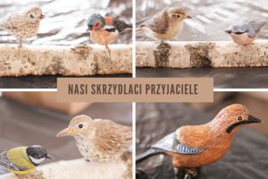 Widok ptaków zimujacych w Polsce