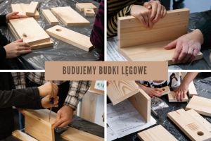 Drewniane elementy do tworzenia budek lęgowych