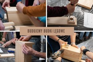 Drewniane elementy do tworzenia budek lęgowych