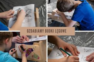 Ozdabianie budek lęgowych przez uczestników