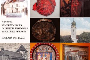 Muzeum Solca i jego eksponaty