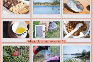 Kilka kadrów ze wspomnieniami