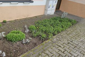 Widok od frontu świetlicy przed zmianą